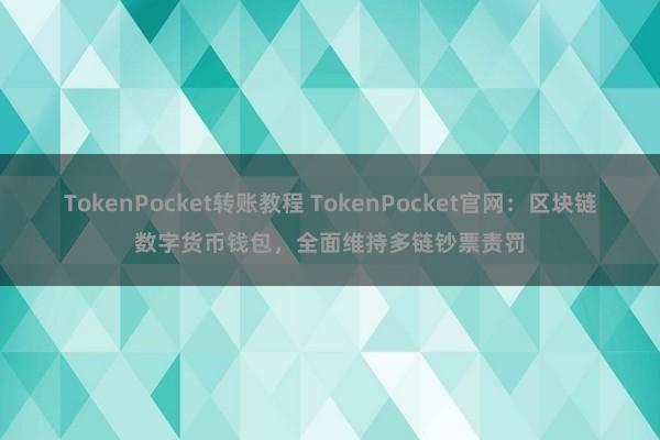 TokenPocket转账教程 TokenPocket官网：区块链数字货币钱包，全面维持多链钞票责罚